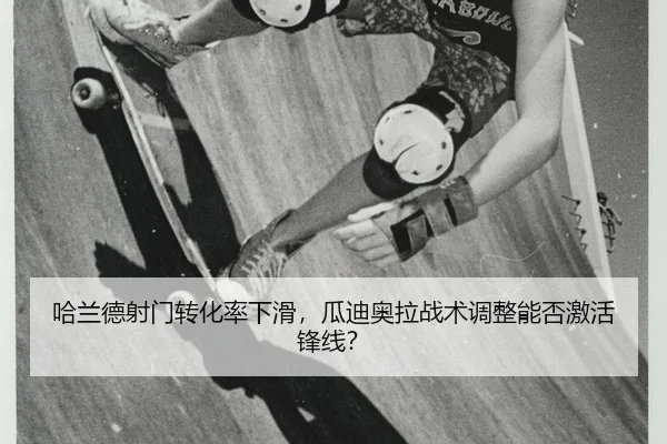 ha-lan-de-she-men-zhuan-hua-lv-xia-hua-gua-di-ao-la-zhan-shu-tiao-zheng-neng-fou-ji-huo-feng-xian-2-777.jpg