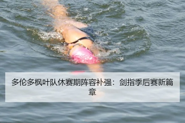 多伦多枫叶队休赛期阵容补强：剑指季后赛新篇章