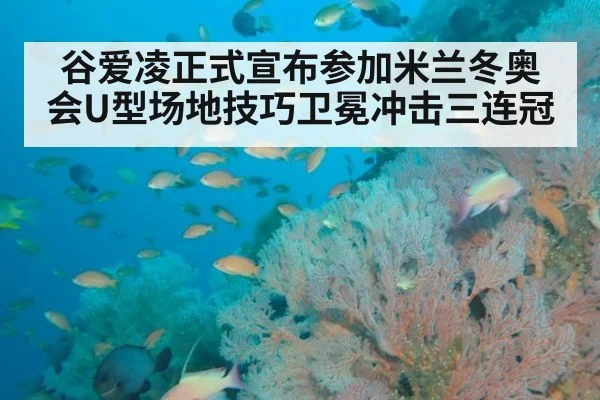 谷爱凌正式宣布参加米兰冬奥会U型场地技巧卫冕冲击三连冠